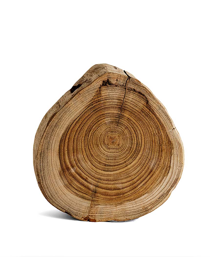 TFD, M-Flor en Belakos: A-kwaliteit